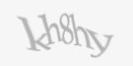 Қорғаныс коды